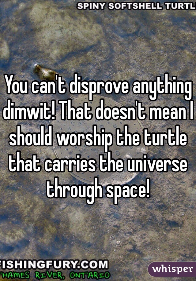 You can't disprove anything dimwit! That doesn't mean I should worship the turtle that carries the universe through space!