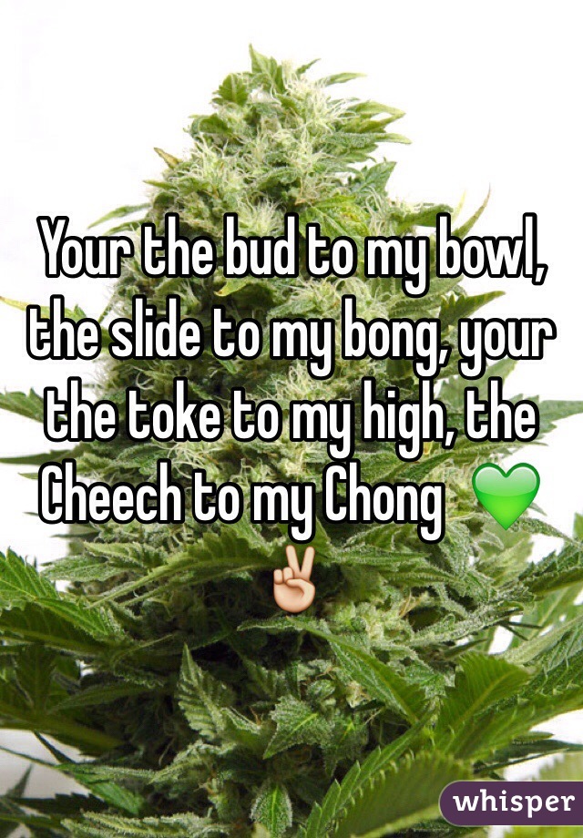 Your the bud to my bowl, the slide to my bong, your the toke to my high, the Cheech to my Chong  💚✌️