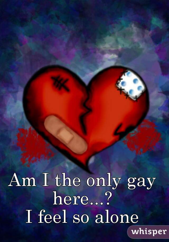 Am I the only gay here...? 
I feel so alone