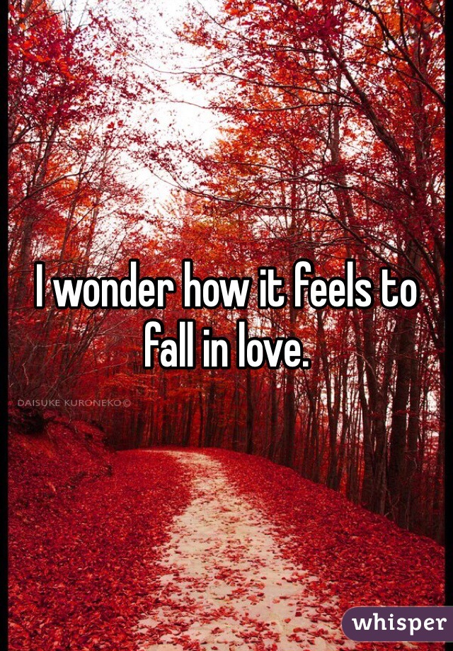 I wonder how it feels to fall in love. 