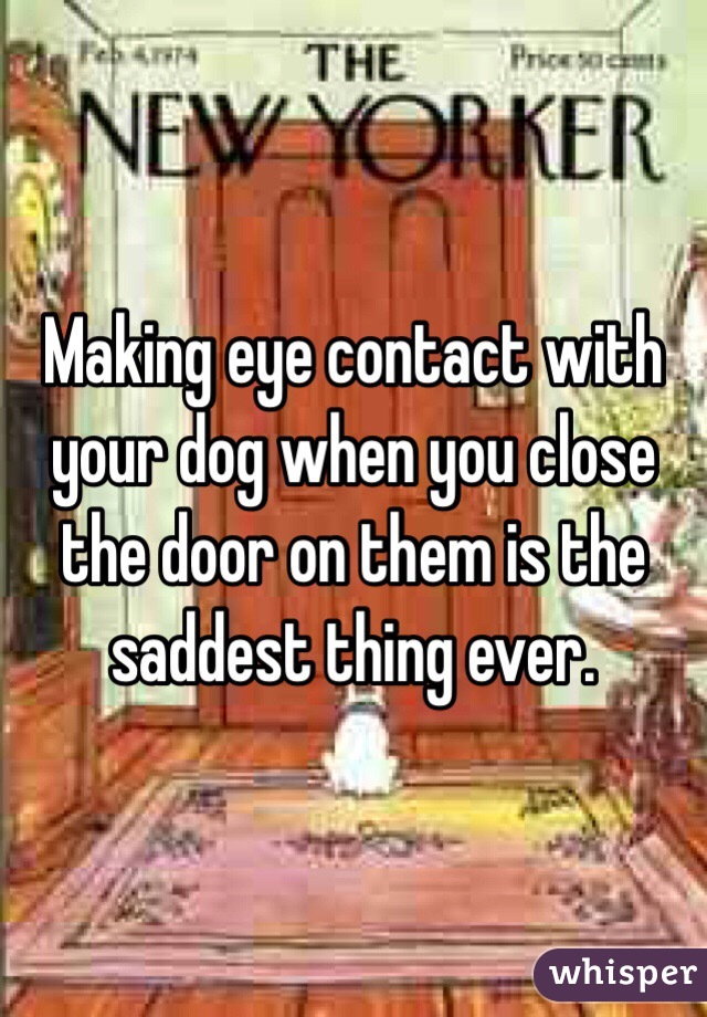 Making eye contact with your dog when you close the door on them is the saddest thing ever.
