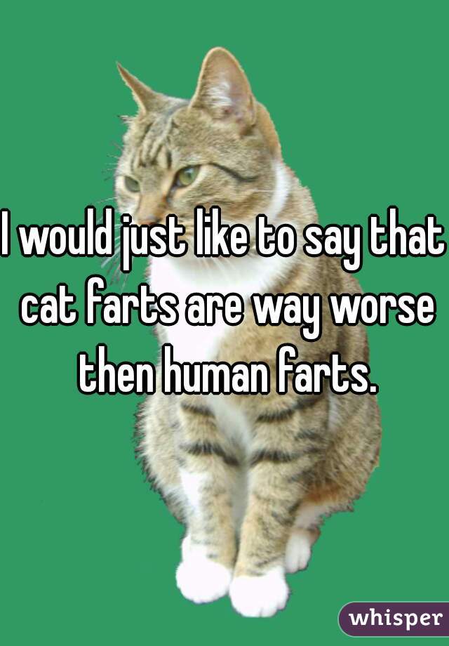 I would just like to say that cat farts are way worse then human farts.