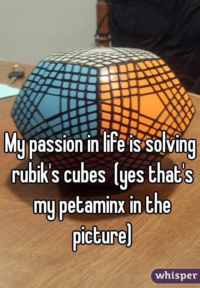 My passion in life is solving rubik's cubes  (yes that's my petaminx in the picture)