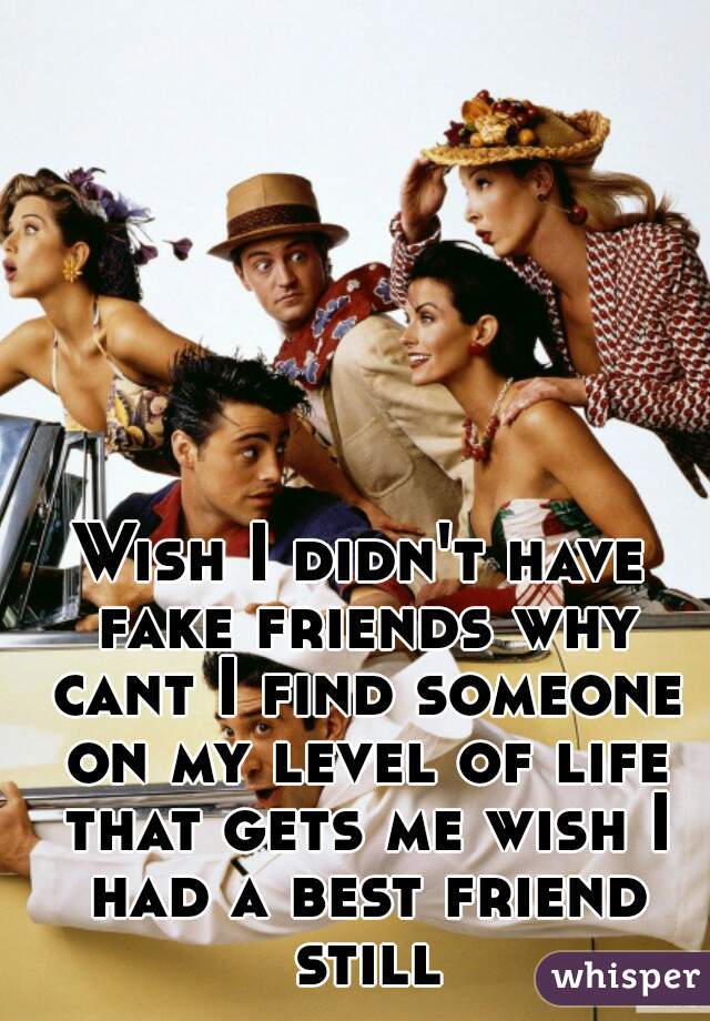 Wish I didn't have fake friends why cant I find someone on my level of life that gets me wish I had a best friend still