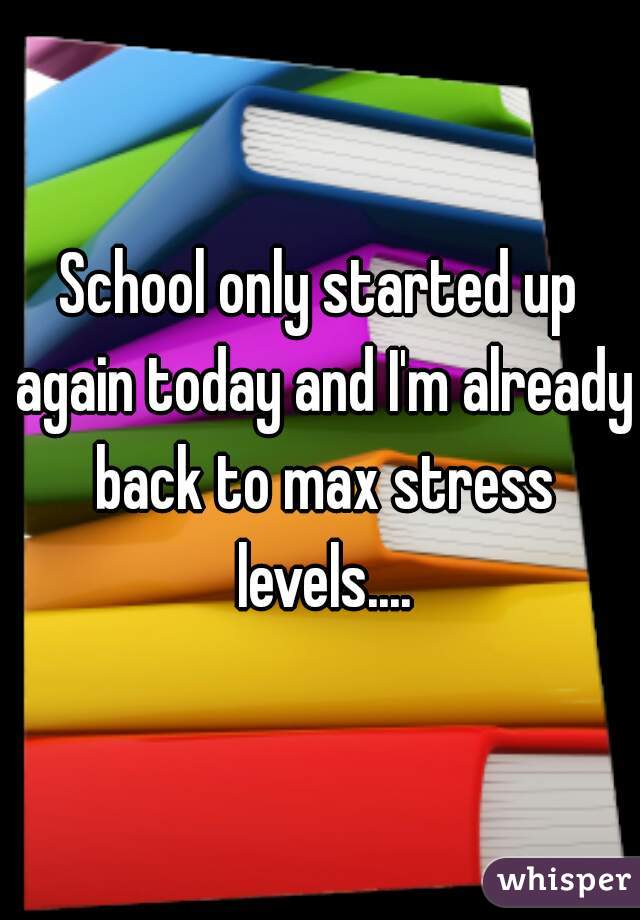 School only started up again today and I'm already back to max stress levels....