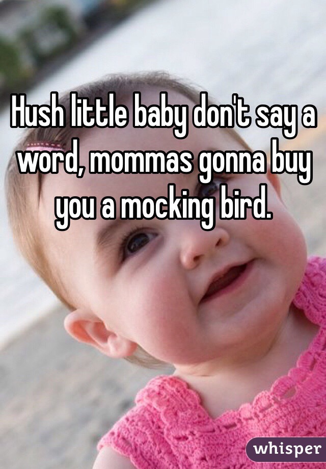 Hush little baby don't say a word, mommas gonna buy you a mocking bird.