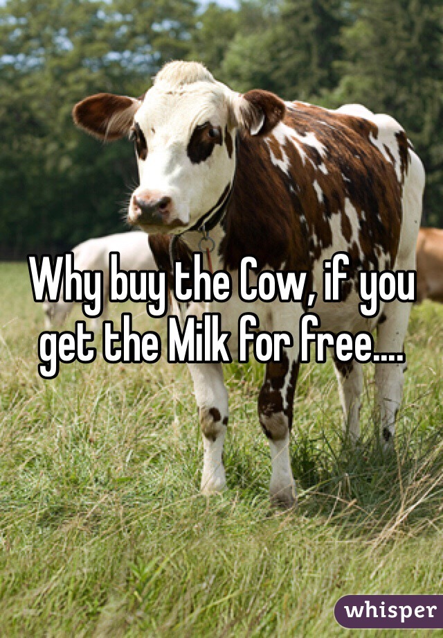 Why buy the Cow, if you get the Milk for free....