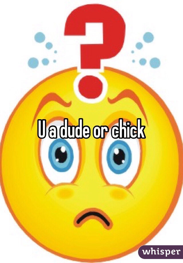 U a dude or chick