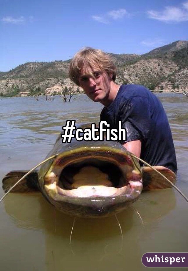 #catfish