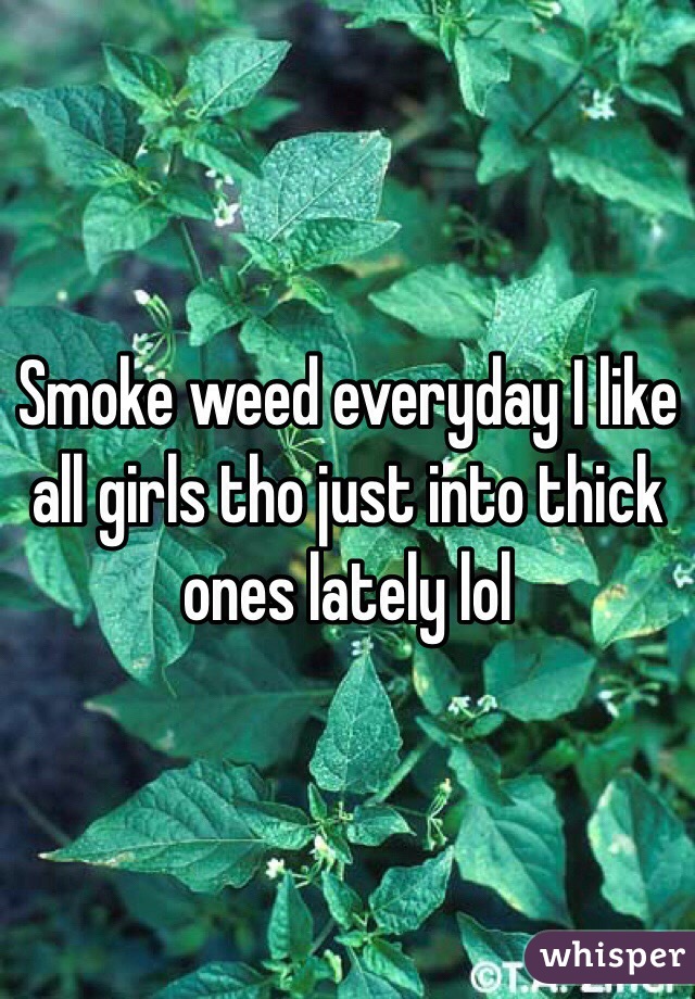 Smoke weed everyday I like all girls tho just into thick ones lately lol 