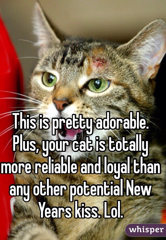 This is pretty adorable. Plus, your cat is totally more reliable and loyal than any other potential New Years kiss. Lol. 