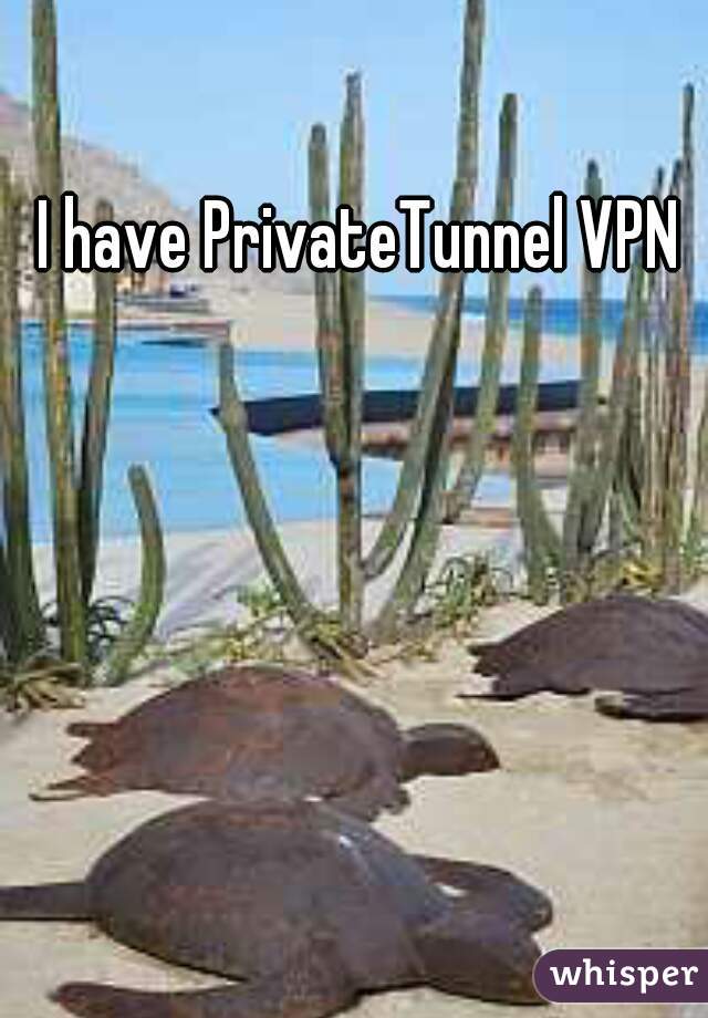 I have PrivateTunnel VPN