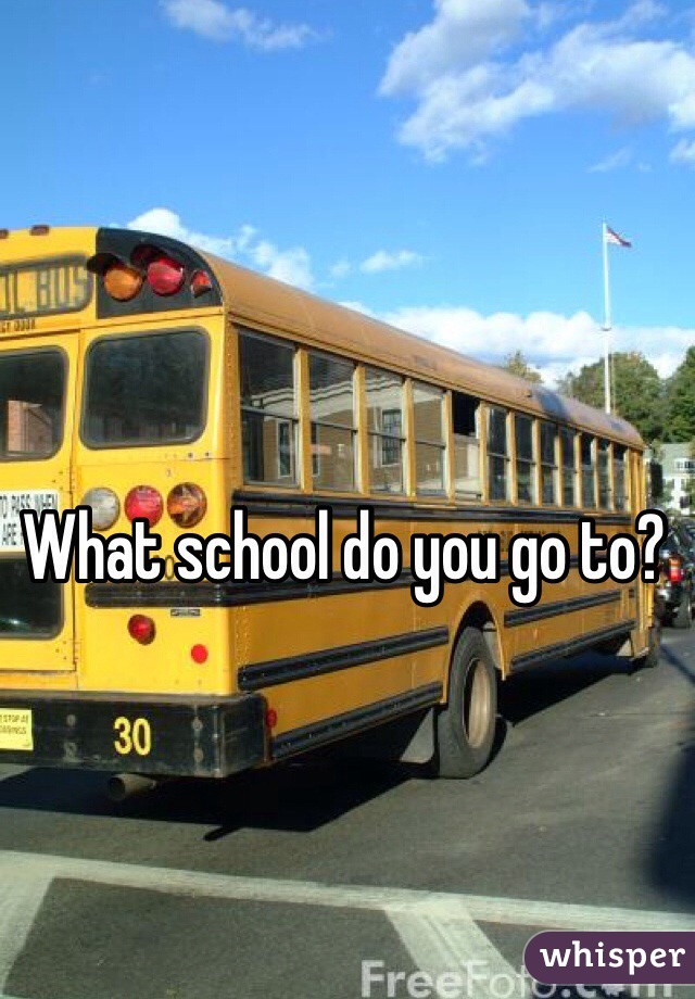 What school do you go to?