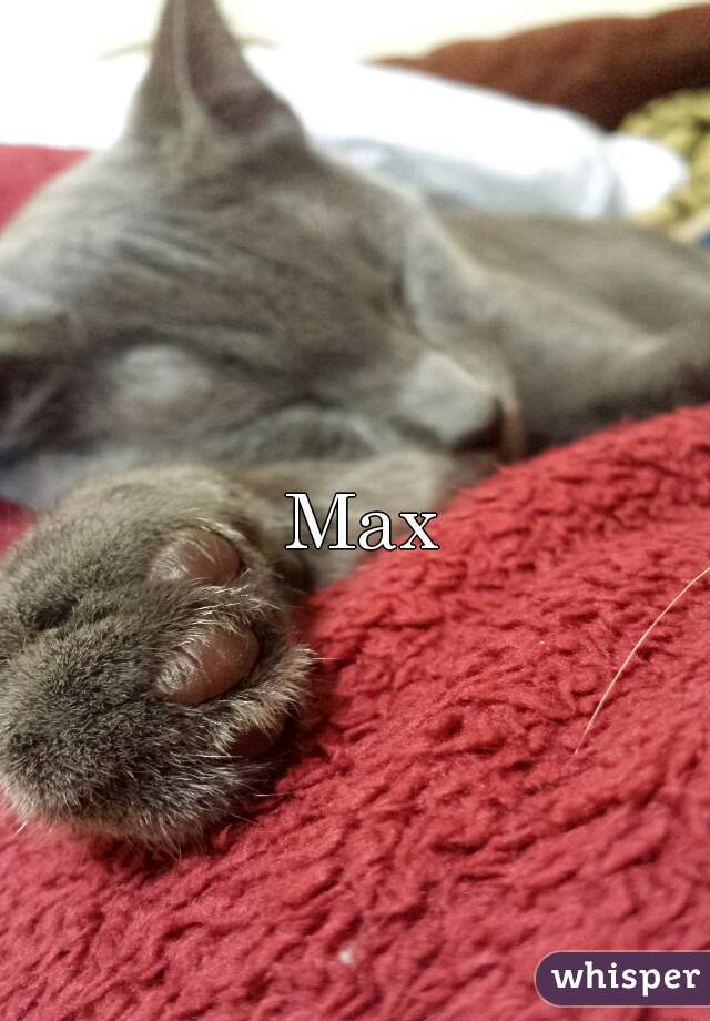 Max