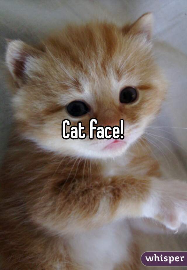 Cat face!
