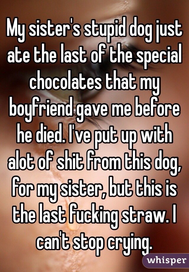 My sister's stupid dog just ate the last of the special chocolates that my boyfriend gave me before he died. I've put up with alot of shit from this dog, for my sister, but this is the last fucking straw. I can't stop crying.