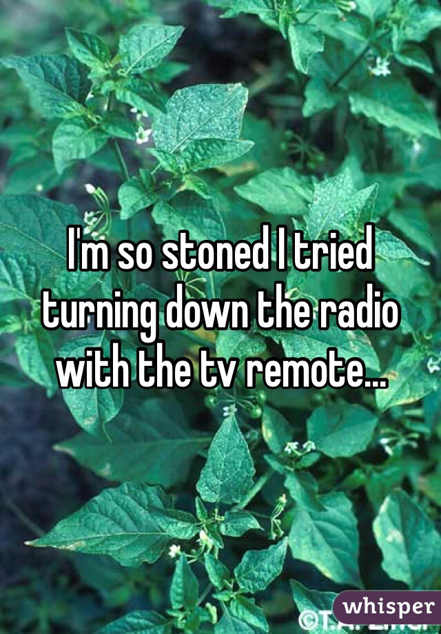 I'm so stoned I tried turning down the radio with the tv remote...