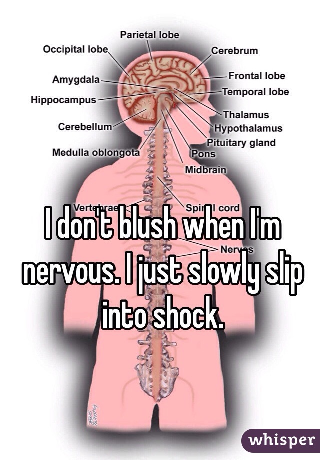 I don't blush when I'm nervous. I just slowly slip into shock. 