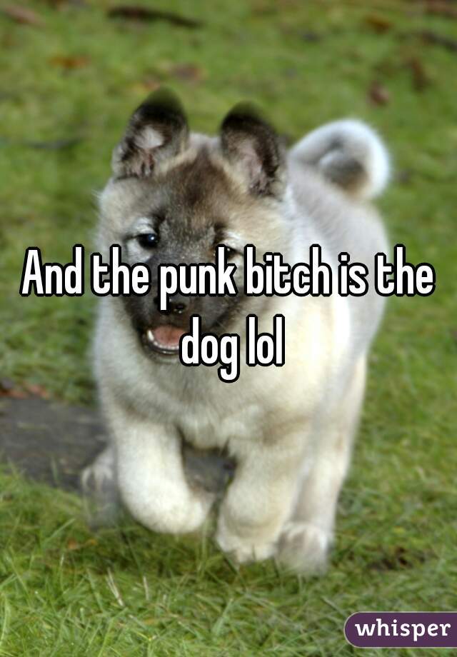 And the punk bitch is the dog lol