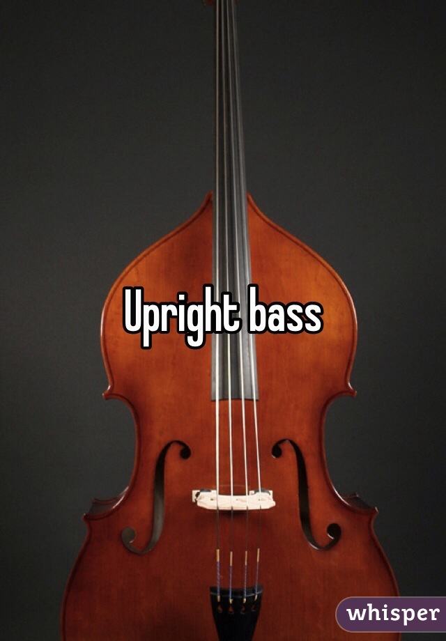 Upright bass