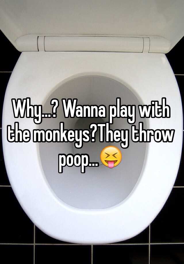 Why...? Wanna play with the monkeys?They throw poop...😝