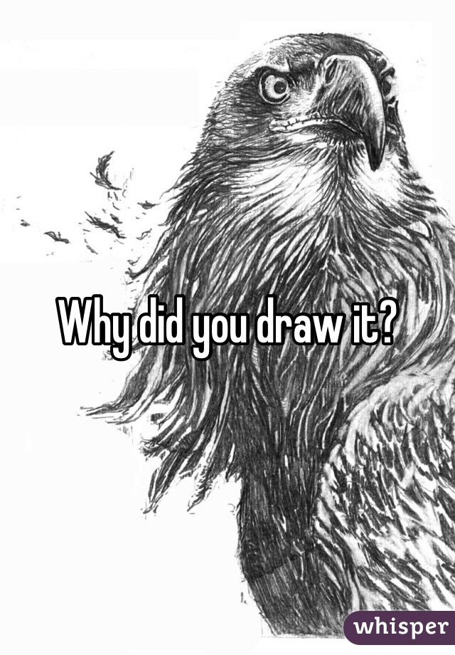 Why did you draw it?