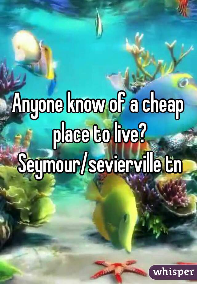 Anyone know of a cheap place to live? Seymour/sevierville tn