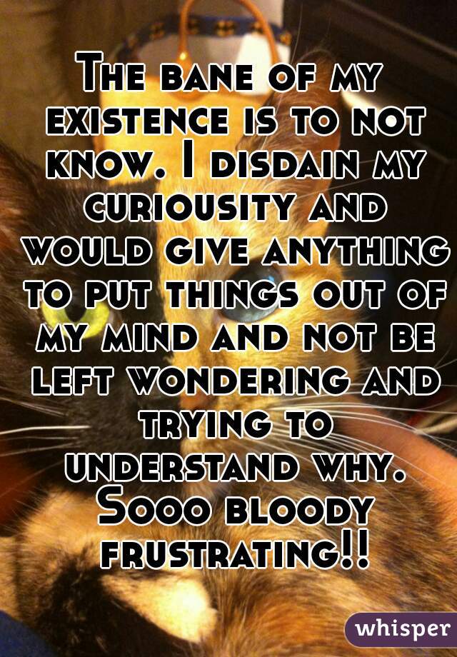 The bane of my existence is to not know. I disdain my curiousity and would give anything to put things out of my mind and not be left wondering and trying to understand why. Sooo bloody frustrating!!