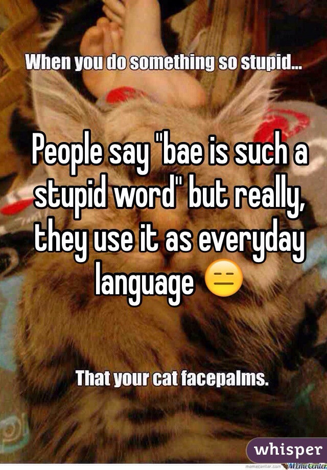 People say "bae is such a stupid word" but really, they use it as everyday language 😑