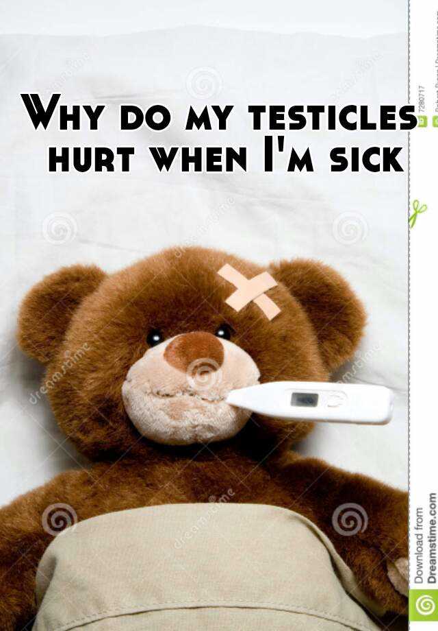 why-do-my-testicles-hurt-when-i-m-sick