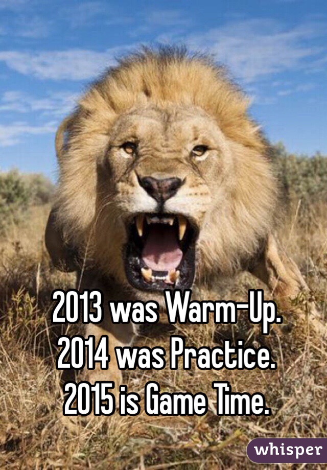 2013 was Warm-Up.
2014 was Practice.
2015 is Game Time. 