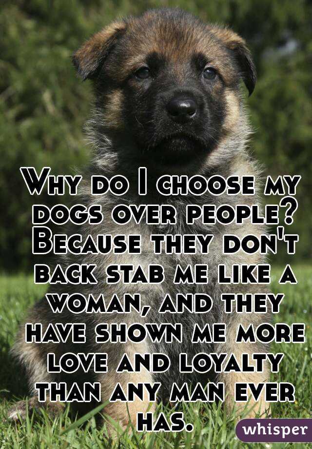 Why do I choose my dogs over people? Because they don't back stab me like a woman, and they have shown me more love and loyalty than any man ever has.