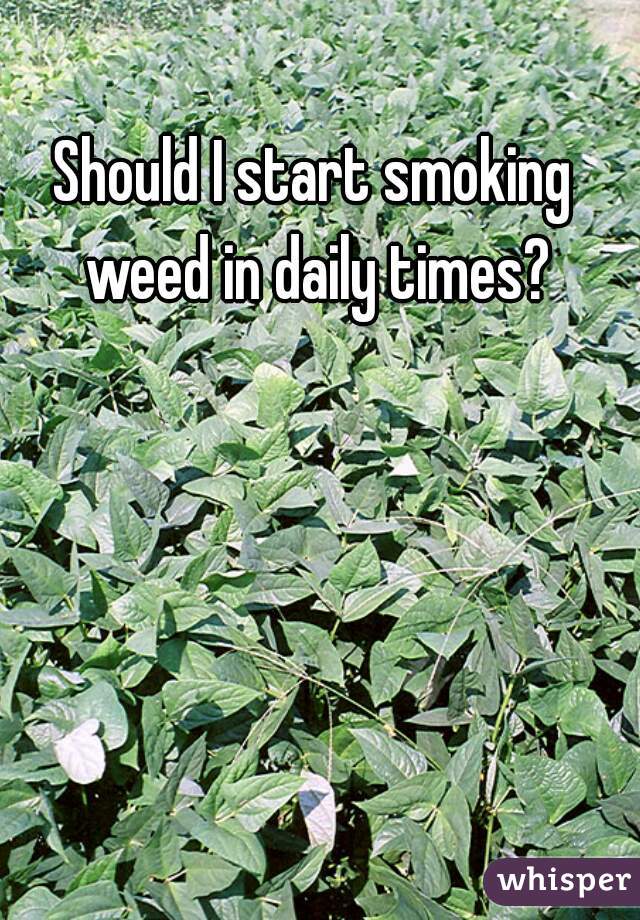 Should I start smoking weed in daily times?