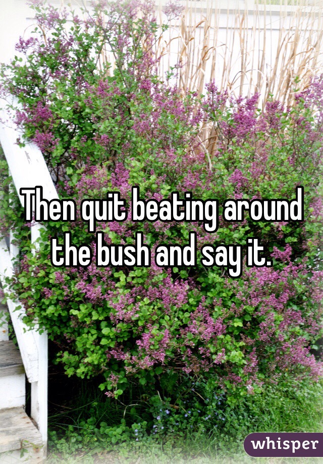 Then quit beating around the bush and say it. 
