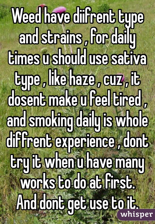 Weed have diifrent type and strains , for daily times u should use sativa type , like haze , cuz , it dosent make u feel tired , and smoking daily is whole diffrent experience , dont try it when u have many works to do at first.
And dont get use to it.