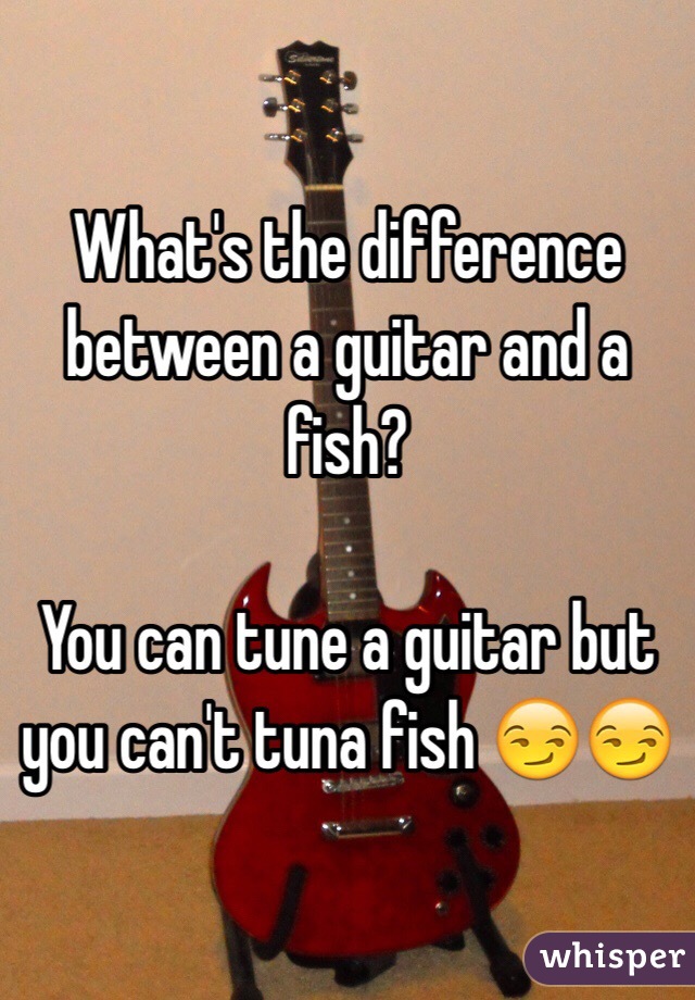 What'S the Difference between a Guitar And a Fish 