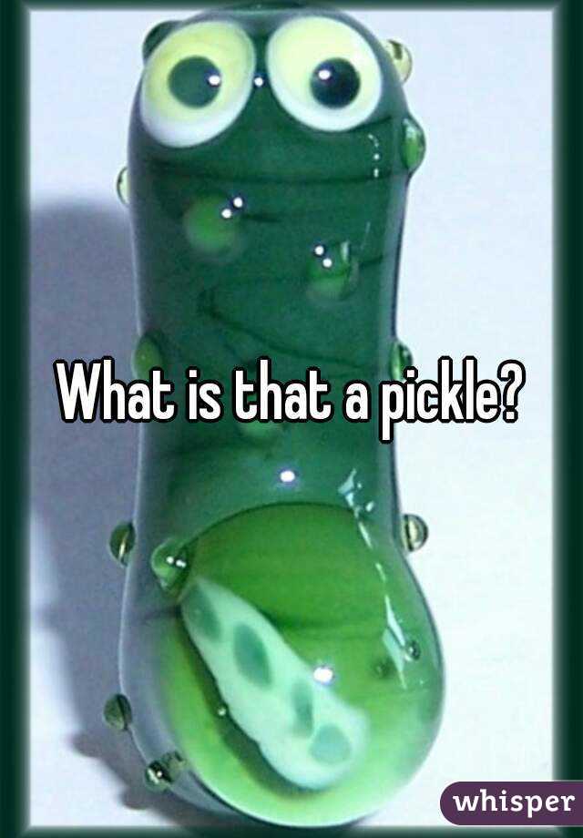 What is that a pickle?