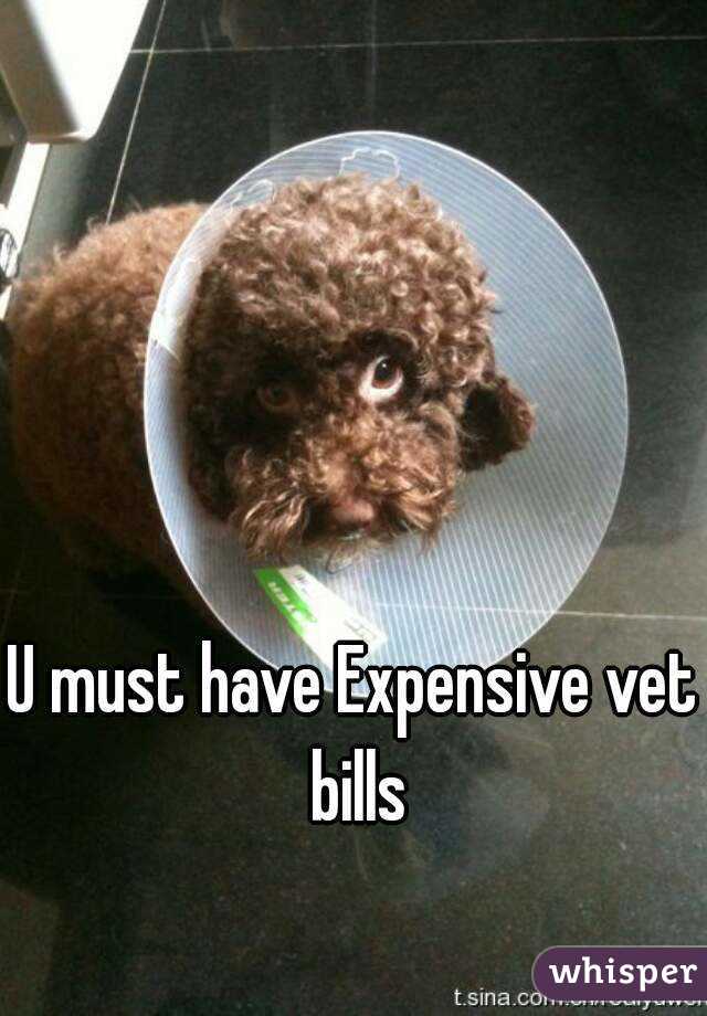 U must have Expensive vet bills