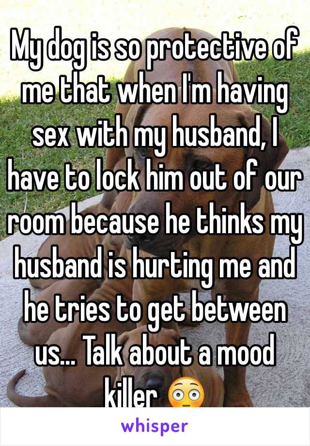 My dog is so protective of me that when I'm having sex with my husband, I have to lock him out of our room because he thinks my husband is hurting me and he tries to get between us... Talk about a mood killer 