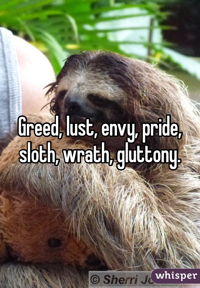 Greed Lust Envy Pride Sloth Wrath Gluttony