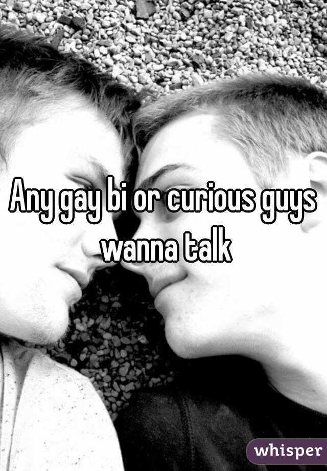 Any gay bi or curious guys wanna talk
