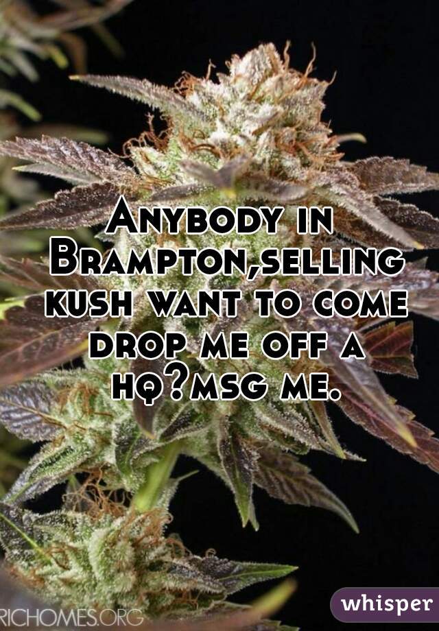 Anybody in Brampton,selling kush want to come drop me off a hq?msg me.