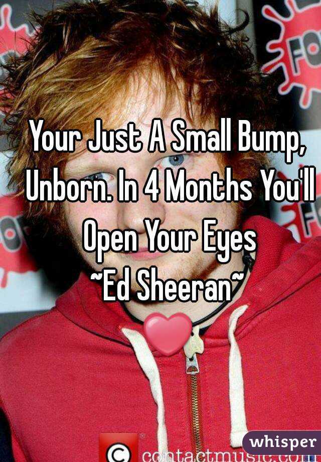 Your Just A Small Bump, Unborn. In 4 Months You'll Open Your Eyes
~Ed Sheeran~
❤
