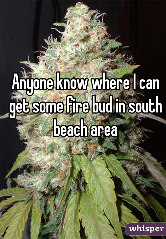 Anyone know where I can get some fire bud in south beach area 