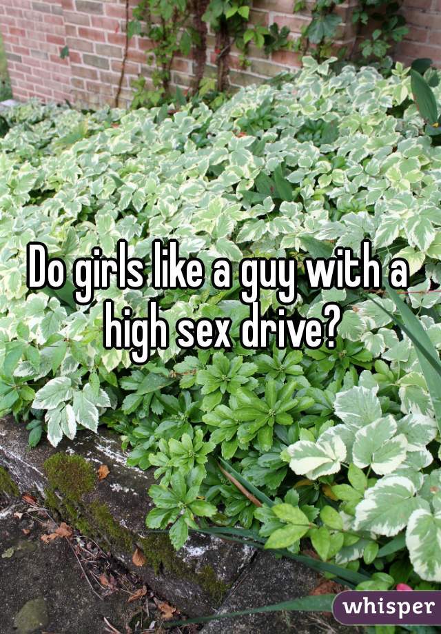 Do girls like a guy with a high sex drive?