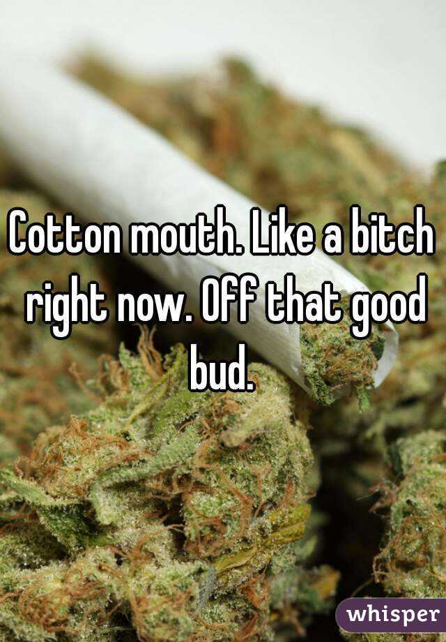 Cotton mouth. Like a bitch right now. Off that good bud. 