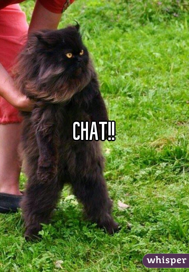 CHAT!!