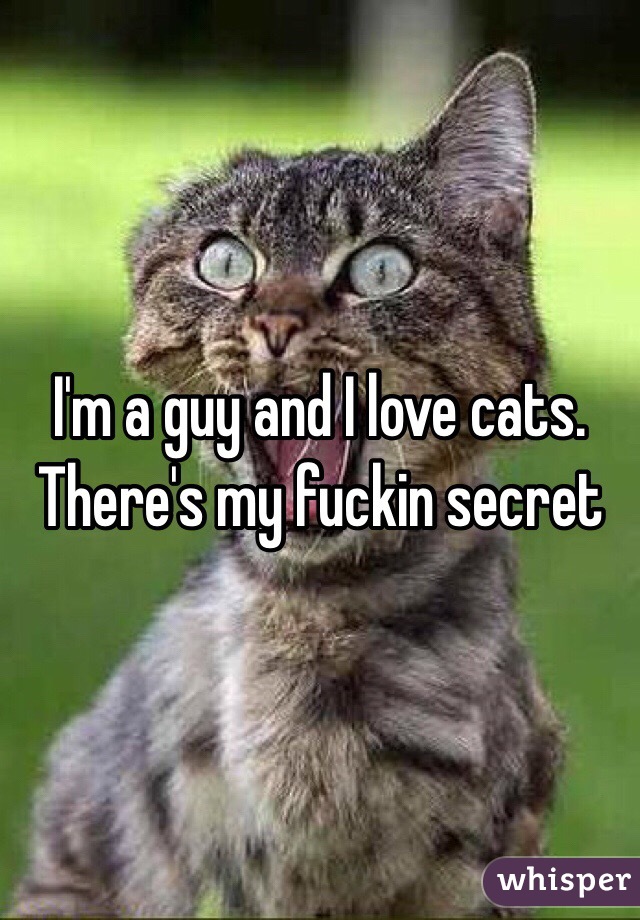 I'm a guy and I love cats. There's my fuckin secret 