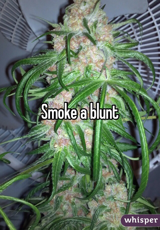Smoke a blunt 