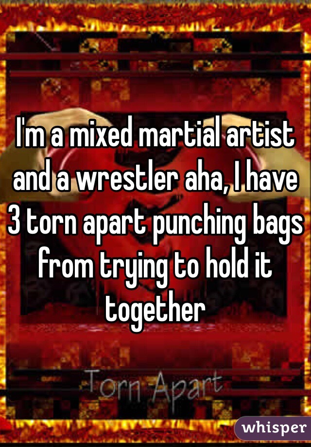I'm a mixed martial artist and a wrestler aha, I have 3 torn apart punching bags from trying to hold it together 